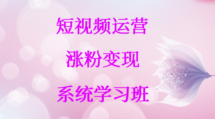 短视频运营涨粉变现VIP系统学习班