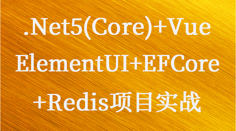 haima malala aotuo fuer aoer.Net5  Vue ElementUI EFCore+Redis视频课程