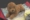 Nhật Bản Forfar Mô phỏng Teddy Dog Pet Dog Doll Puppy Plush Toy Doll Sinh nhật Quà tặng - Đồ chơi mềm đồ chơi trẻ em thông minh