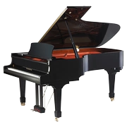Đàn piano gỗ thẳng đứng Wendelong W218 dành cho người lớn chuyên nghiệp chơi buổi hòa nhạc lớn piano đặc biệt - dương cầm