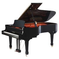 Đàn piano gỗ thẳng đứng Wendelong W218 dành cho người lớn chuyên nghiệp chơi buổi hòa nhạc lớn piano đặc biệt - dương cầm duong cam