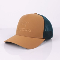 Логотип Ariter Spot's Logo Logo Hat Men and Women Arcterex Candid Platinum Eaves Sports Hat