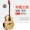 Island Guitar Abraham ngôn ngữ một ngôi sao toàn màn hình 41 inch muốn lắc cùng một nhạc cụ gỗ mới bắt đầu - Nhạc cụ phương Tây