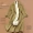 Đầy đủ len ~ đôi móng ngựa tay áo eo dài dài đôi phải đối mặt với len áo khoác của phụ nữ áo len dy7915