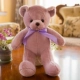 Teddy gấu đồ chơi sang trọng giữ gối ngủ búp bê ôm gấu rag búp bê dễ thương cô gái dễ thương Hàn Quốc - Đồ chơi mềm