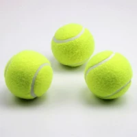 Phục vụ trò chơi cơ sở và trung cấp thú cưng đặc biệt đồ chơi cao hồi phục quần vợt đào tạo thiết bị bóng trẻ em 3 - Quần vợt vợt tennis cho người mới tập chơi