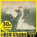 Электронный альбом Ohara Koson HD Альбом, Bird, насекомого рыбного материала Материал материал материал