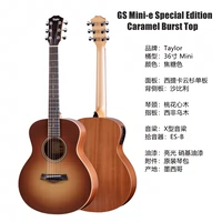 GS Mini-E Special Caramel Color