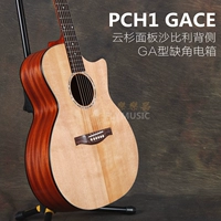 PCH1 GACE log -color box