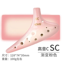 12 -Hole SC TREBLE C [Градиентный порошок]