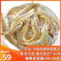 Креветки свежие живые морепродукты креветки креветки креветки креветки вода Ультра морские креветки живые креветки креветки креветки
