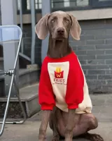 Фри с красным булавом (осень)