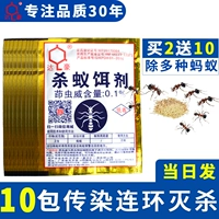 Dahao Ant Medicine Pusness Searning Emercerment Ant -Qingwo Terminal Family Внутренняя кровать кухня растения дикого цветочного цвета растения