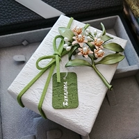Коробка, зеленая брошь, серьги, ювелирное украшение, сделано на заказ