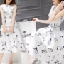 2019 ga châu Âu mùa hè mới của phụ nữ phiên bản Hàn Quốc in trong đoạn váy dài không tay thắt eo là váy chữ A mỏng - A-Line Váy vay xoe