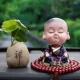 Встряхните головой спокойный+Lotus Leaf Zen Tibet