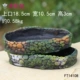 14108 Fish Scales Personal Basin