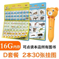 D Set [Желтый медведь 16G] 2 книги диаграмма+ручка+ручка