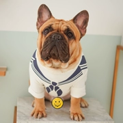 Chó quần áo thú cưng quần áo pháp luật quần áo chiến đấu phù hợp với hải quân phù hợp với mùa hè nhẹ quần áo bago quần áo - Quần áo & phụ kiện thú cưng