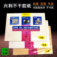 Xingli non -dry -glue lable