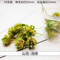 Трехмерные высушенные цветочные горы цветы светло -зеленые (10 цветов)