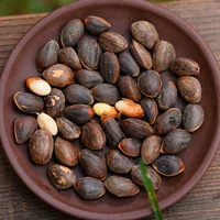 Специальные специальные свежие сырые кедровые орехи Yunnan