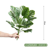 15 Задняя черепаха спинками