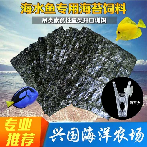 Морские водолабы, морские водоросли, морские водоросли, морские и морские овощи, рыба и зерно, цветная капуста, цветная капуста.