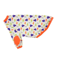 Динозавр, граффити, 235 грамм