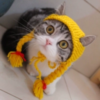 Деревенская цветочная маленькая девочка кошка кошка поддельные волосы шляпы смешной шляпы для домашних животных английский короткий красивый короткий кошачий капюшон