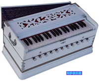 Музыкальные инструменты, орган, профессиональный аккордеон, Индия, 42 клавиш