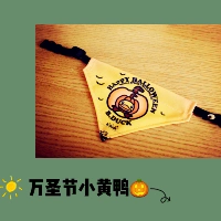 B.Duck, желтый, xэллоуин