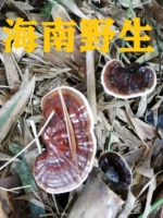 Hainan Wild Bamboo Ganoderma Black Ganoderma lucidum имеет подлинный бутик 500 г