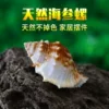 Товары от 我儿是纯爷们儿