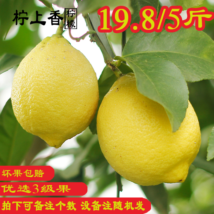 柠上香 安岳黄柠檬5斤