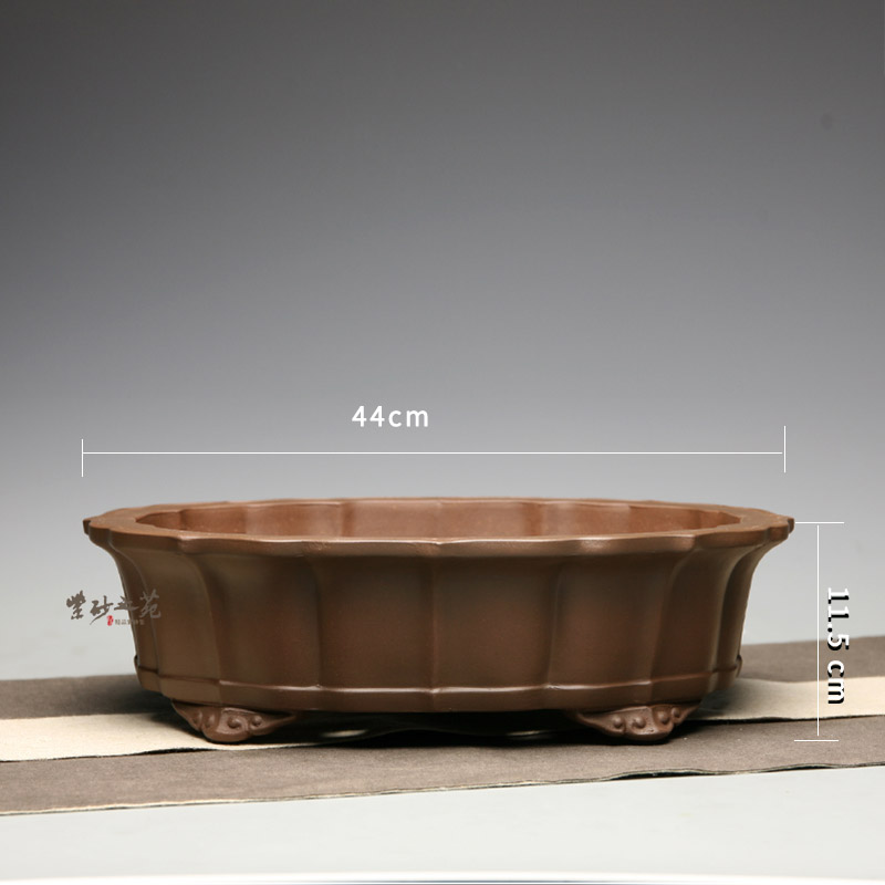 Extra Large: 44Cm In Lengthpurple sand flowerpot ellipse flower of water caltrop bonsai Flowerpot medium , please purple ink for imprinting of seals tip Papaya foreign trade basin Miscellaneous wood Raspberry Du Juan Old pile