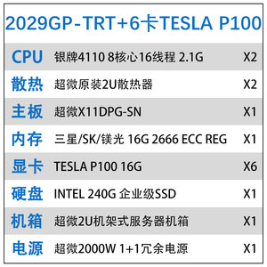 6卡 TESLA P100
