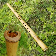 L42502G 外 切唐 口 桂竹南 箫 玉屏 Hướng dẫn sử dụng shakuhachi với cây tre ngắn instrument nhạc cụ - Nhạc cụ dân tộc