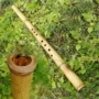 L42502G 外 切唐 口 桂竹南 箫 玉屏 Hướng dẫn sử dụng shakuhachi với cây tre ngắn instrument nhạc cụ - Nhạc cụ dân tộc tiêu trúc
