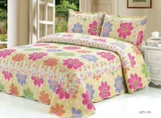 Bông in giường bông bao gồm mảnh duy nhất ba bộ của mùa hè mát điều hòa không khí quilt chần bông tấm bông hai bộ