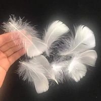 Десять блестящих белых и 10 крыш