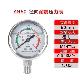Nhà sản xuất Jingpu tùy chỉnh 
            YN60BF thép không gỉ 304 chống sốc đồng hồ đo áp suất xuyên tâm áp suất dầu áp suất nước áp suất không khí 1.6MPA