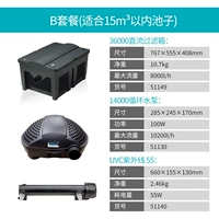 Пакет 36000B (в пределах 15 млн бассейн)