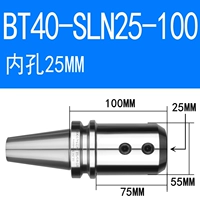 BT40-SLN25-100 (бесплатная доставка на латынь)