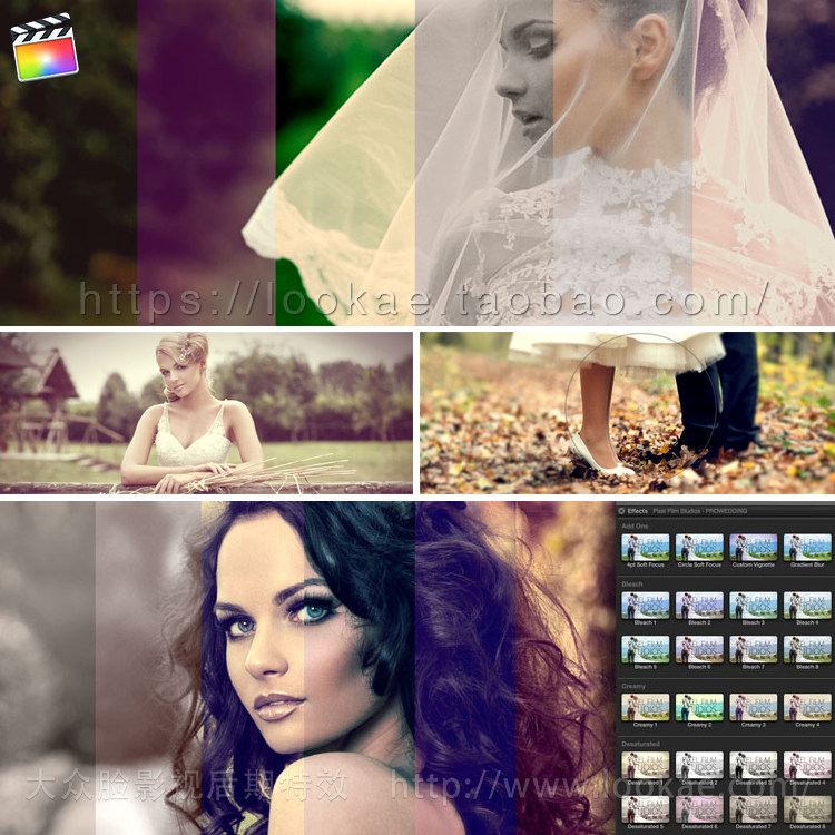 Final Cut Pro X调色插件-多种风格婚礼调色预设 ProWedding FCPX-天天素材网