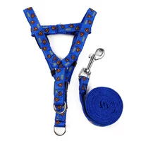 Синий Супермен