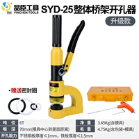 Обновление SYD-25 в целом (стандартный 25 Один платеж)