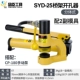 Sydal-Syd-25f+180 (дополнительная 2 платежная форма)