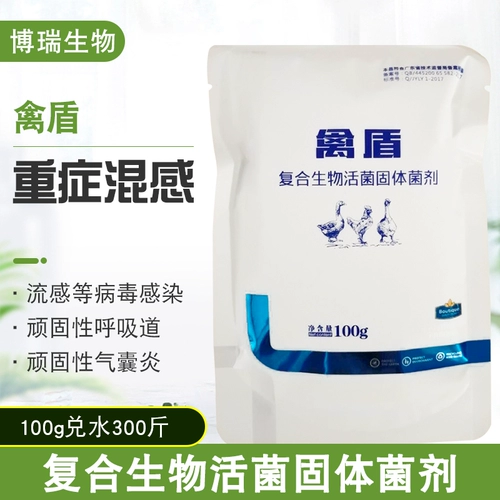 Птица птицы с домашней птицей с лечебной куриной лечебной медициной тяжело болен.