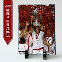 Чемпионы 2003 года Мартини Мартини
